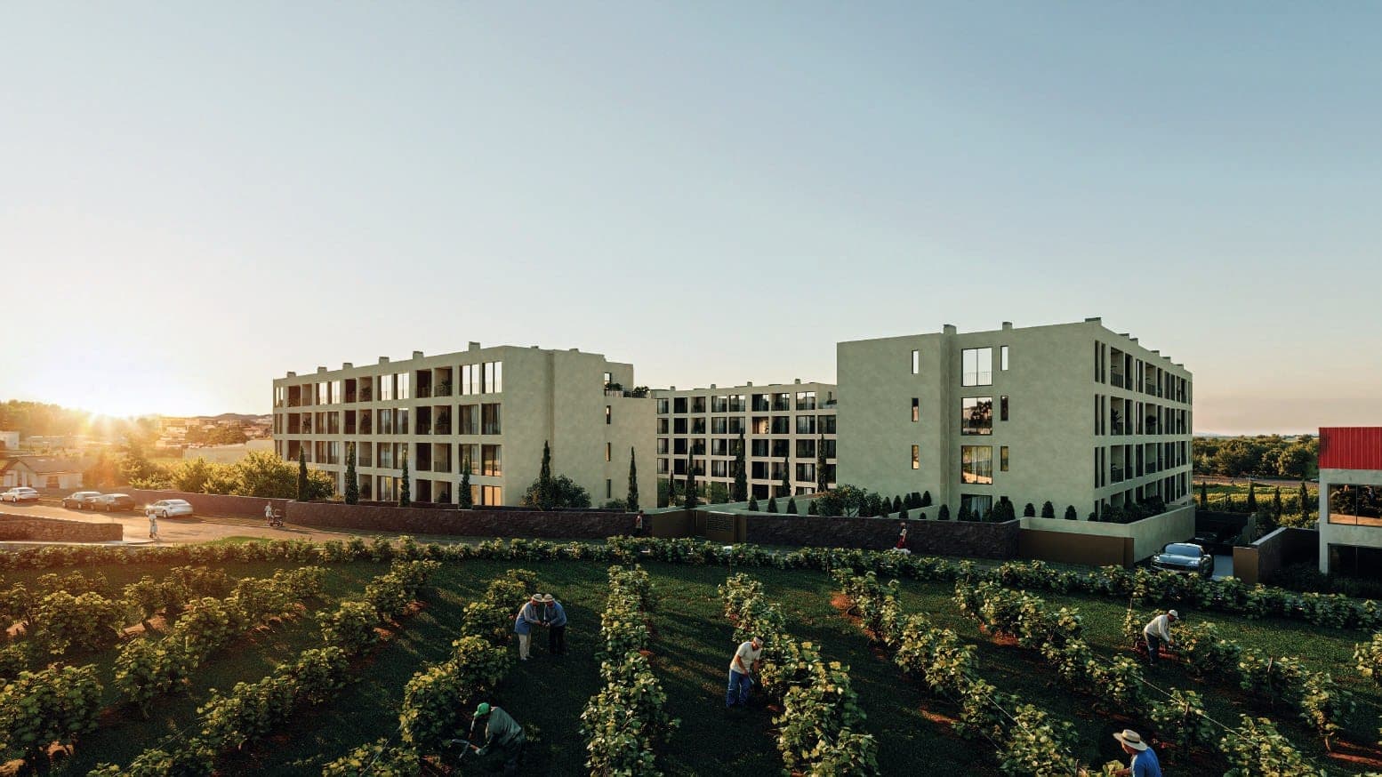 Empreendimento residencial em Gondomar ao pôr do sol, envolto em vinhas